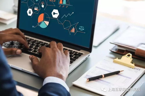 上海互聯網軟件集團 高端協同管理軟件與專業咨詢服務的領航者